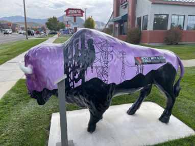 Purple and black Rocky Mountain Power Buffalo